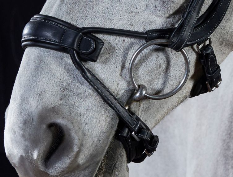 gfs-premier-alpine-bridle2