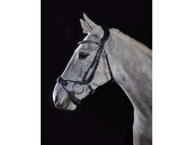 gfs-premier-alpine-bridle3