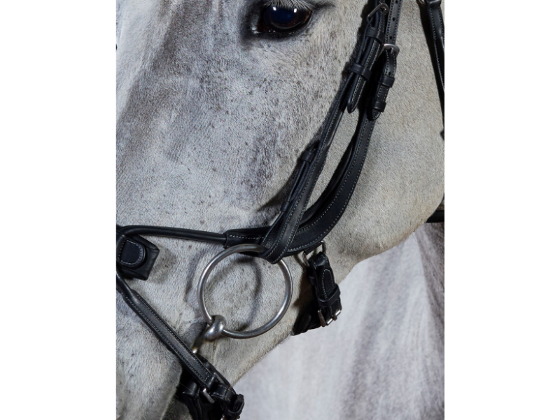 gfs-premier-alpine-bridle6