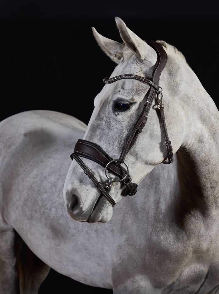 gfs-premier-prime-bridle2