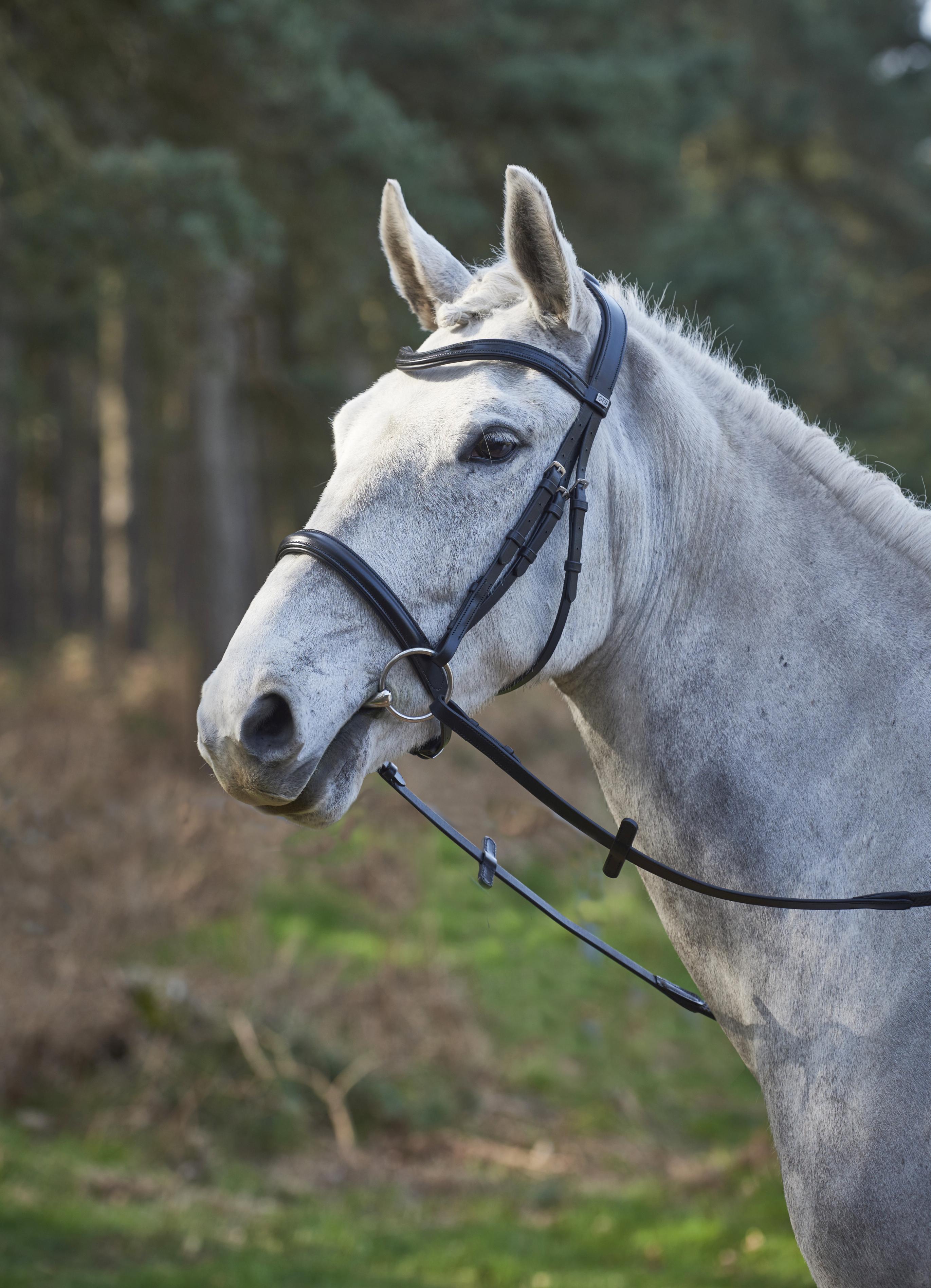 gfs-simplicity-bridle1