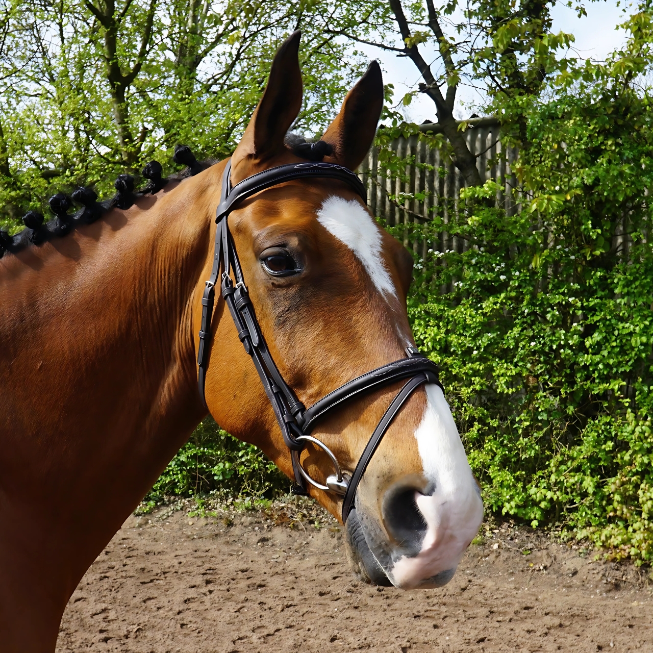 gfs-combi-flash-bridle2