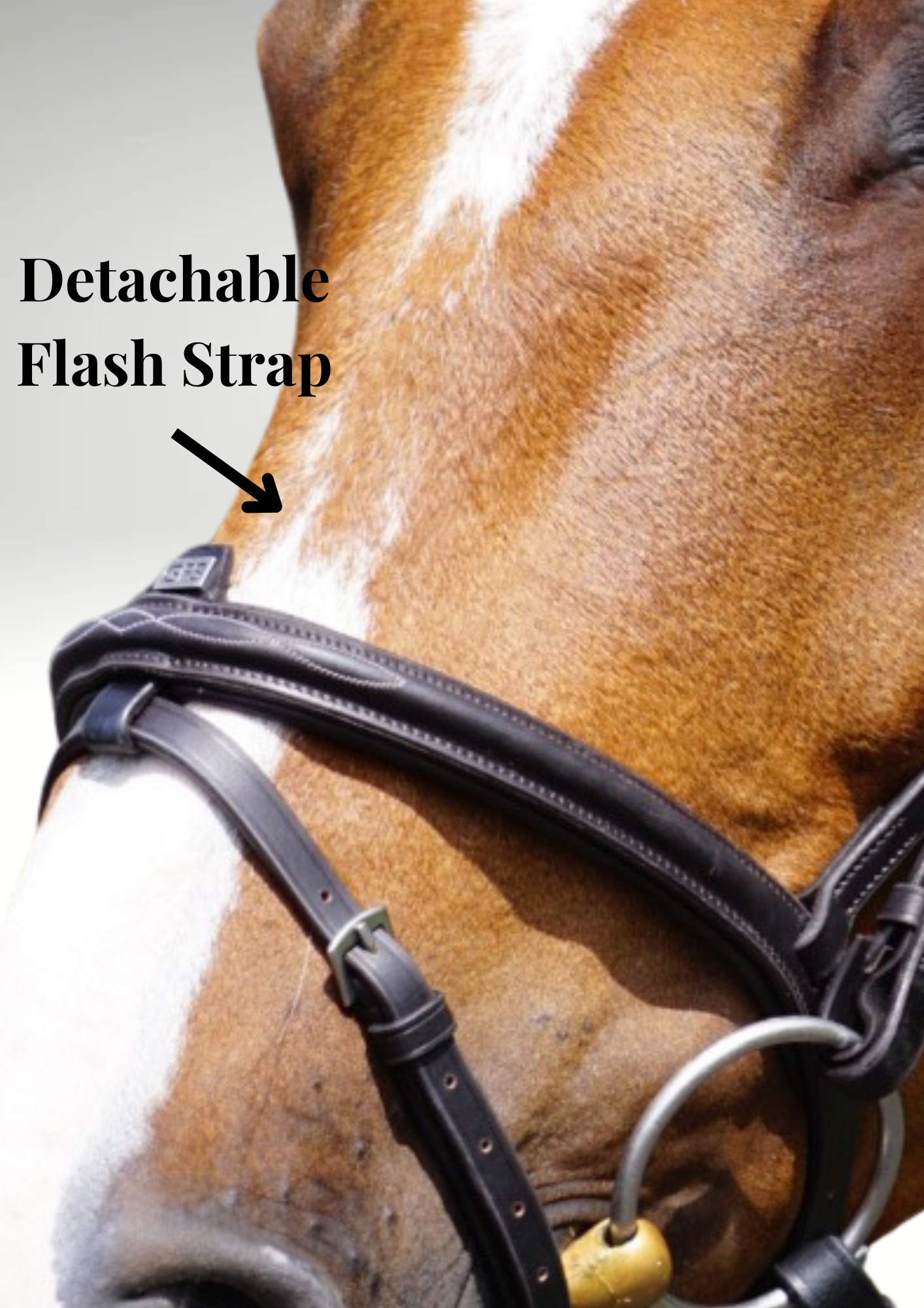 gfs-transition-combi-dressage-bridle3