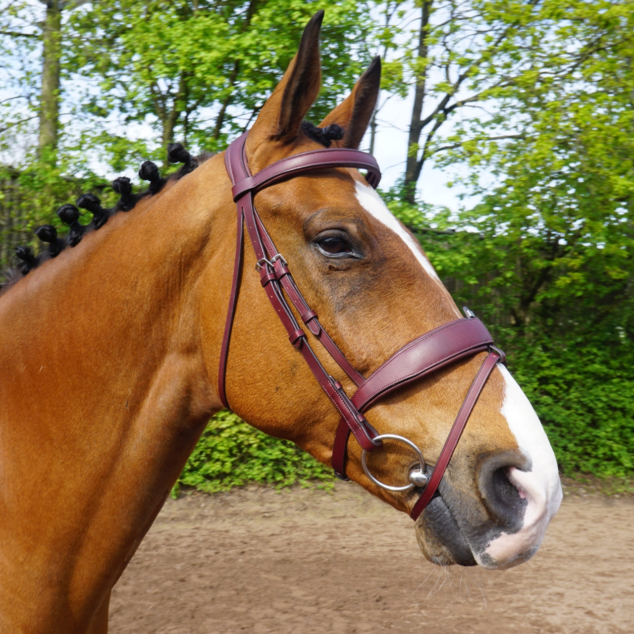 gfs-combi-dressage-bridle2