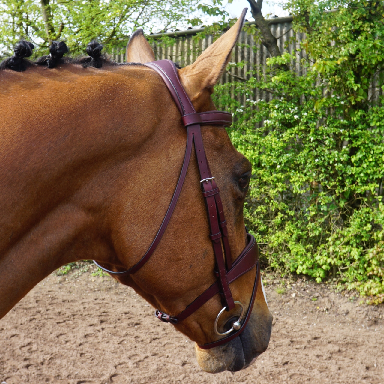 gfs-combi-dressage-bridle3