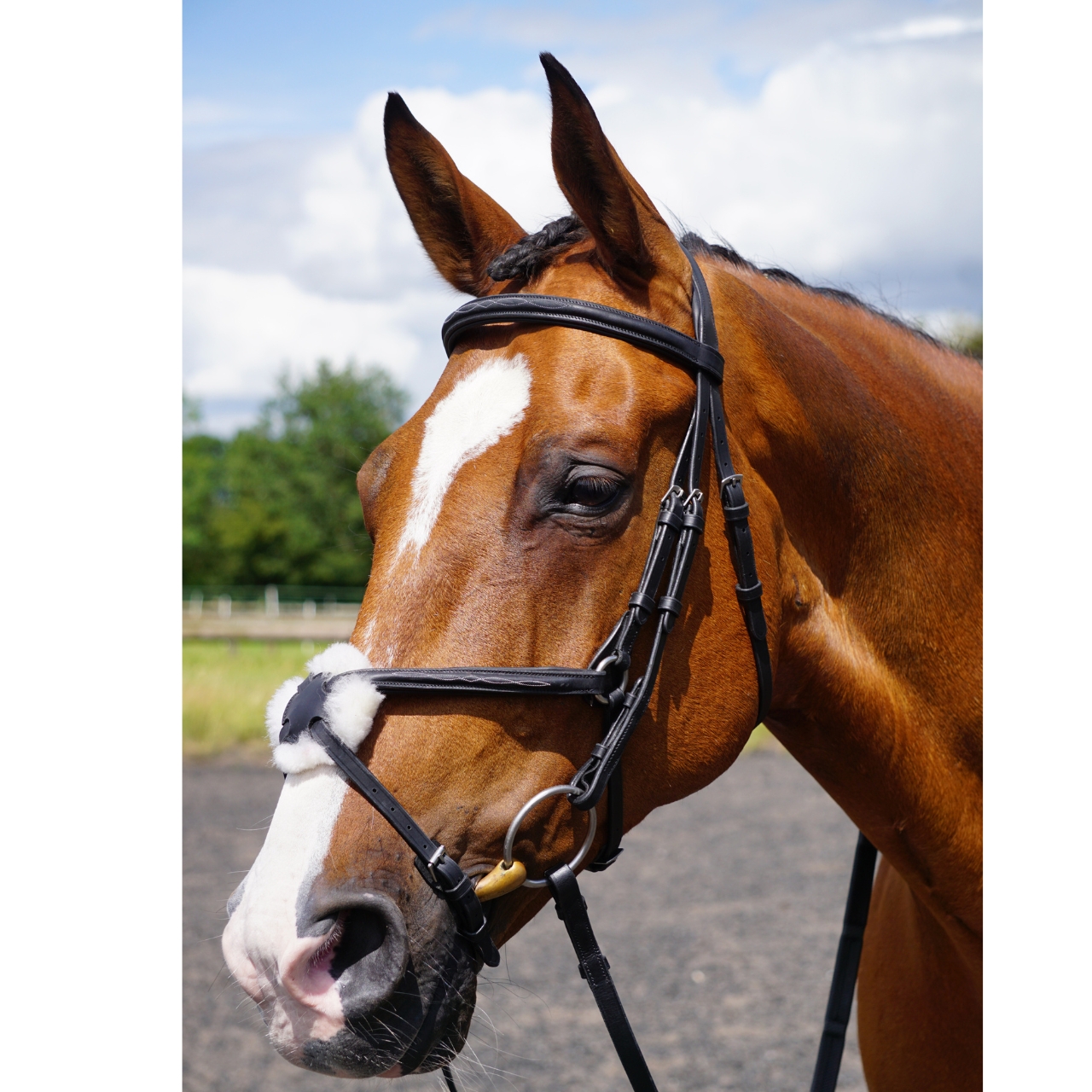 gfs-grackle-bridle4