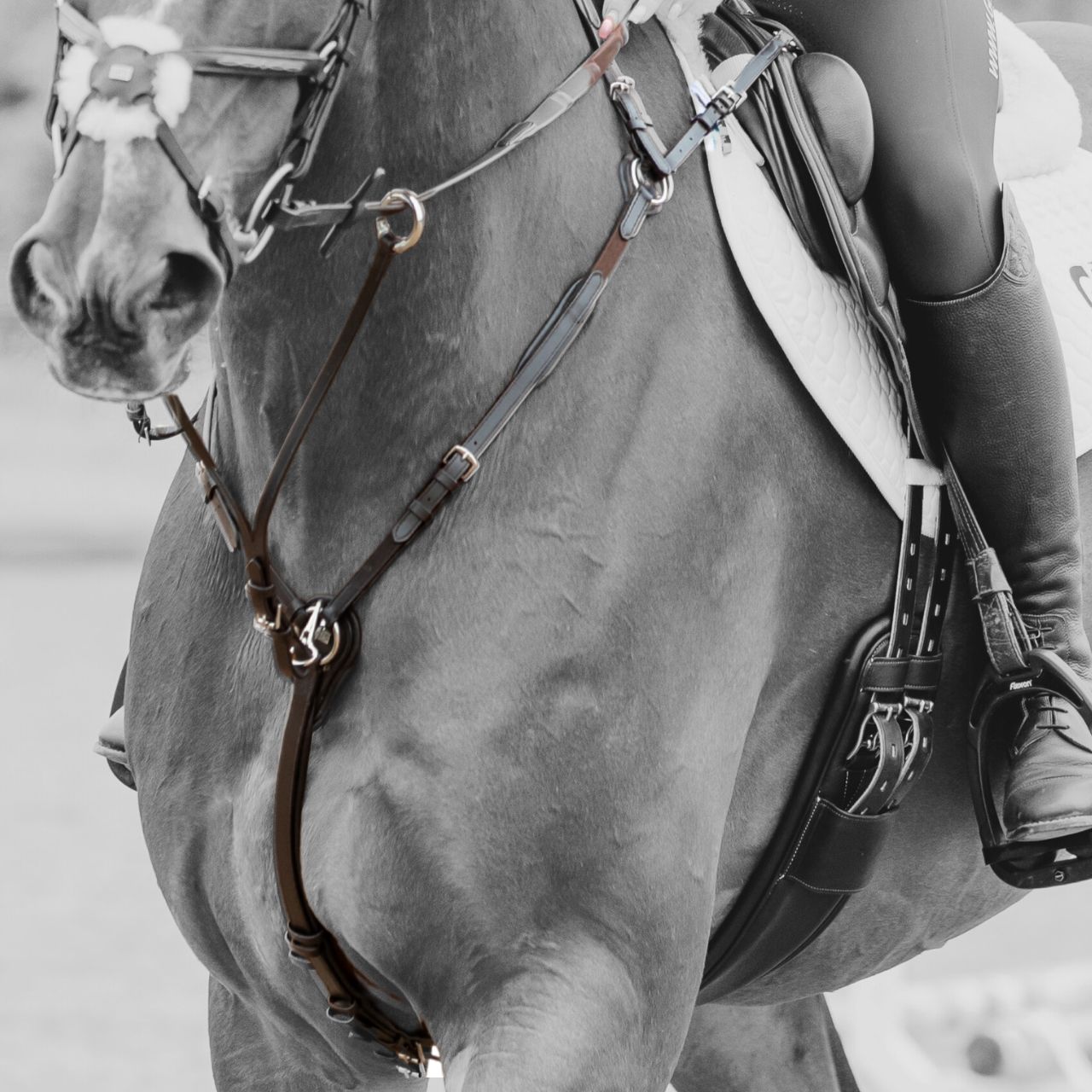 gfs-quick-release-breastplate5