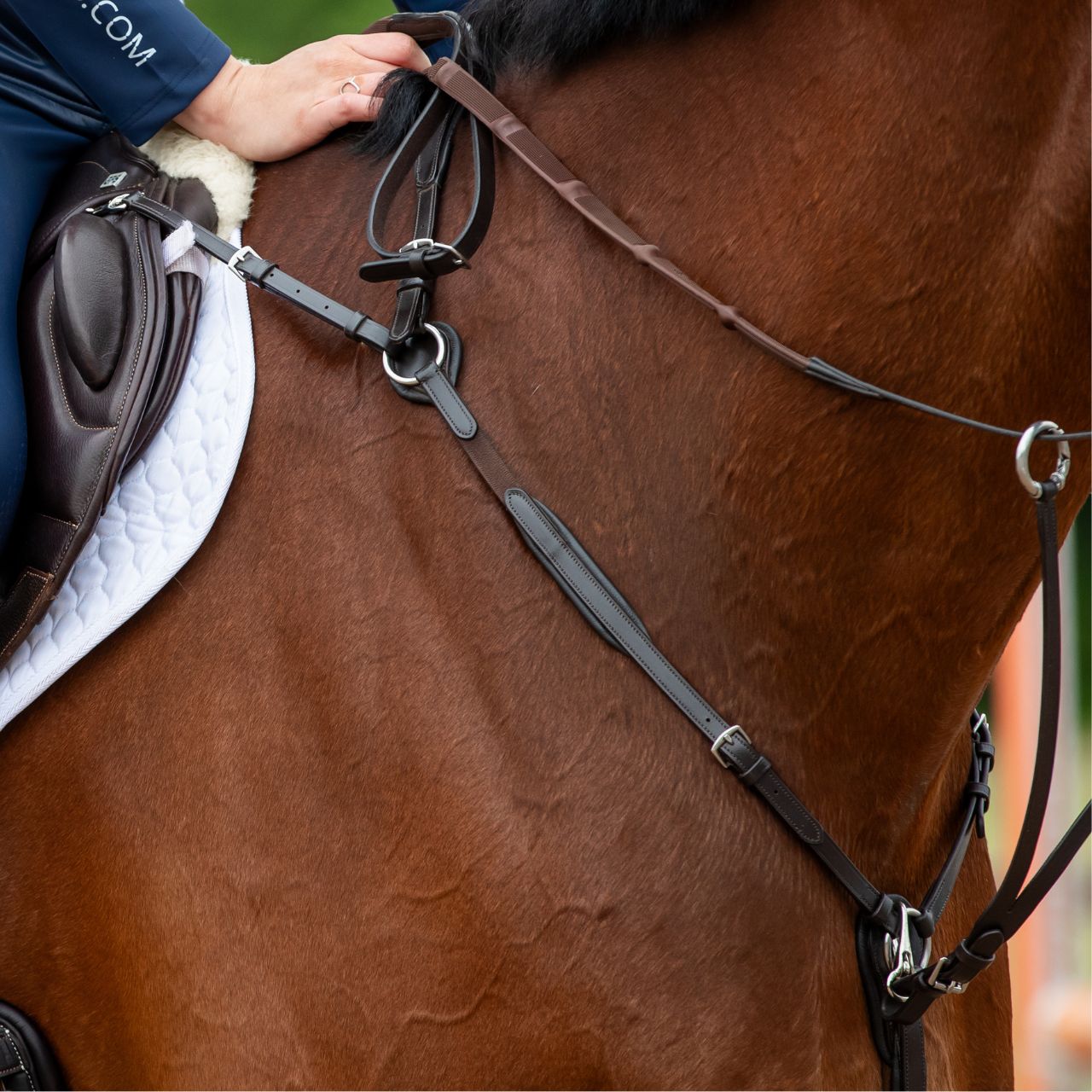 gfs-quick-release-breastplate2