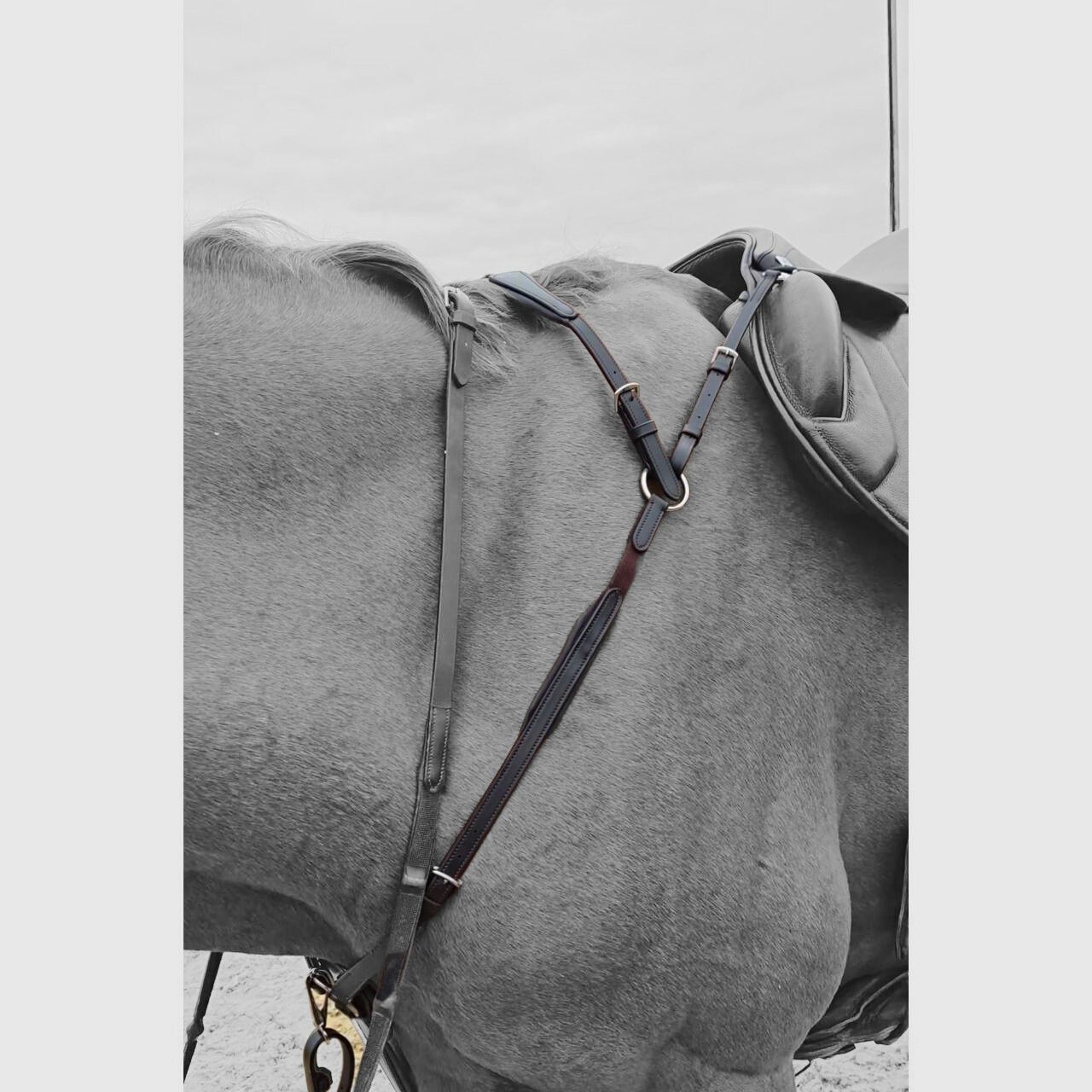 gfs-quick-release-breastplate4