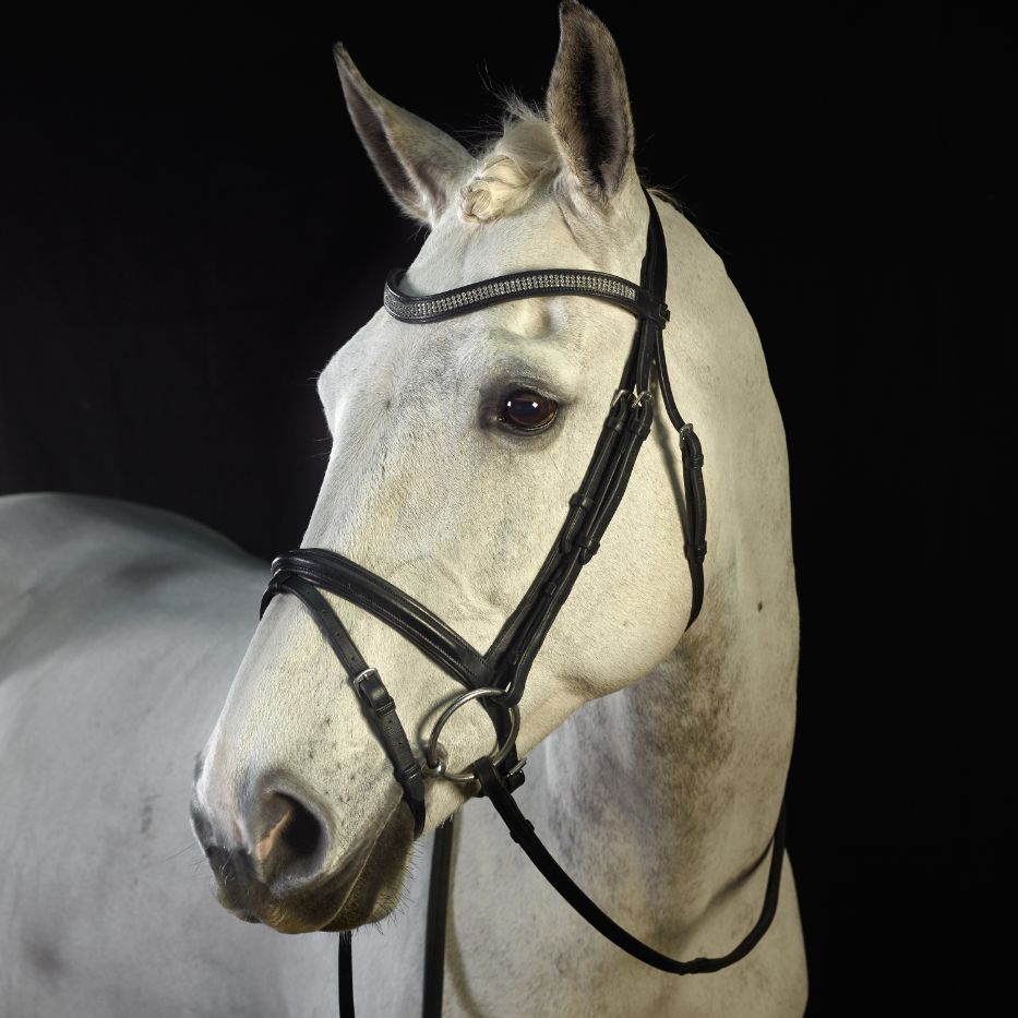 gfs-monarch-flash-bridle2