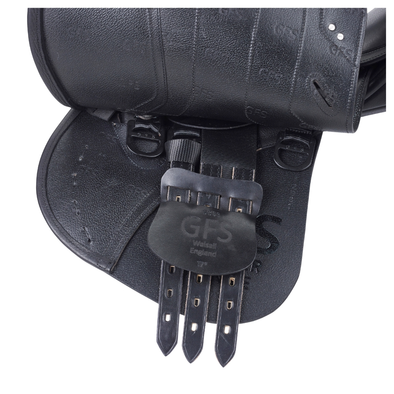 gfs-premier-jump-reg2