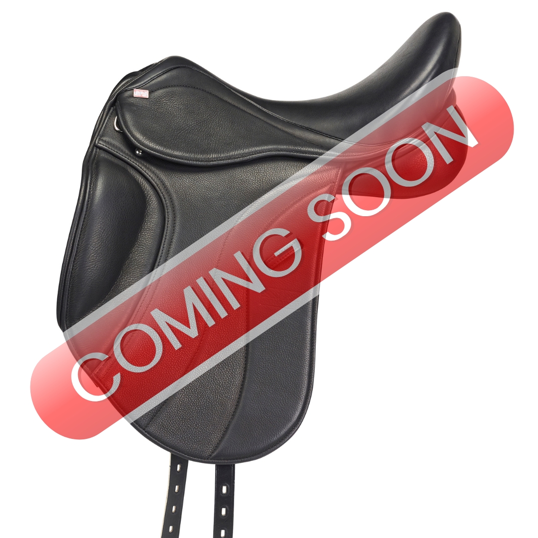 gfs-apex-dressage