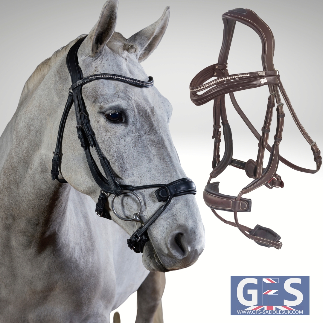 how-to-measure-for-your-horses-bit