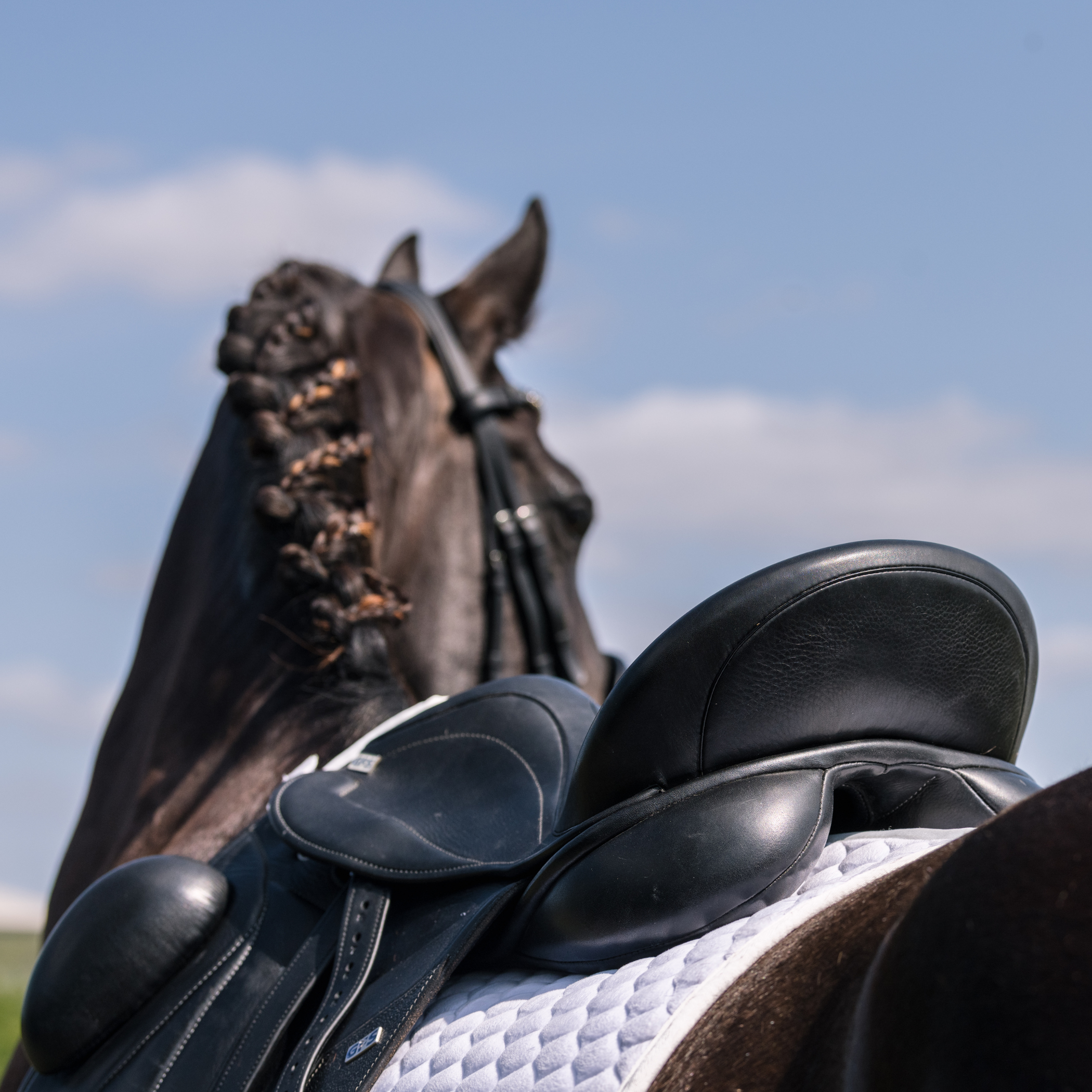 saddle-up-for-winter-ride-through-the-cold-with-gfs-saddles