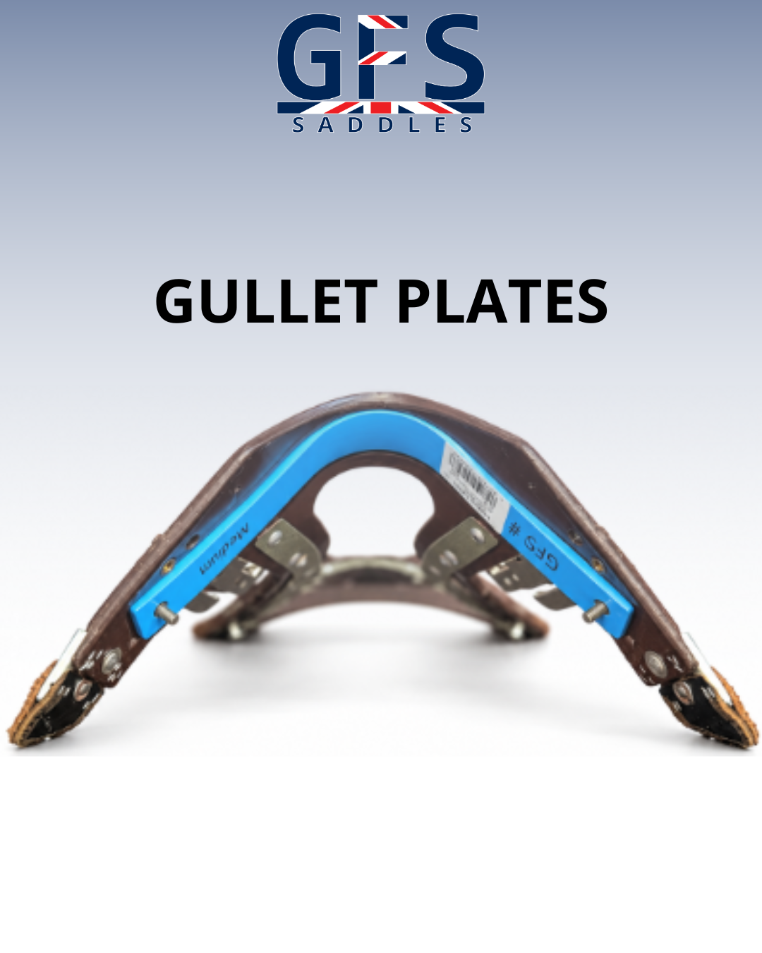 gfs-saddle-features-explained